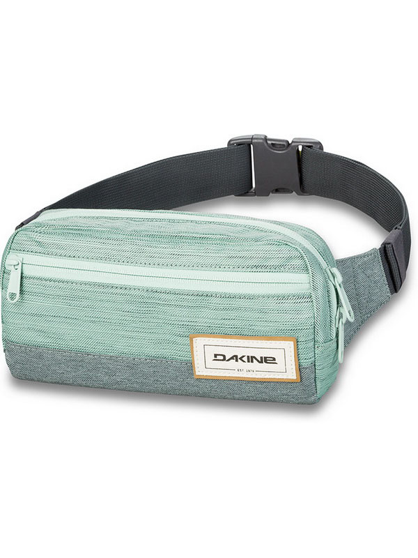 brighton fanny pack