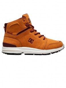 Dc TORSTEIN wheat